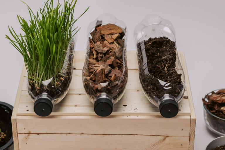 plantar em vasos recicláveis