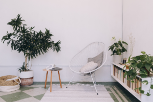 plantas ideais para cada cômodo