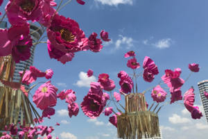 Plantas que atraem boas vibrações