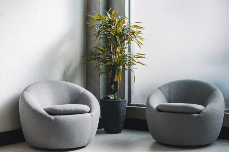 plantas decorativas para cada cômodo