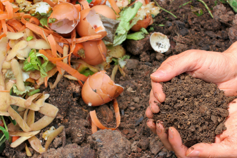 compostagem doméstica